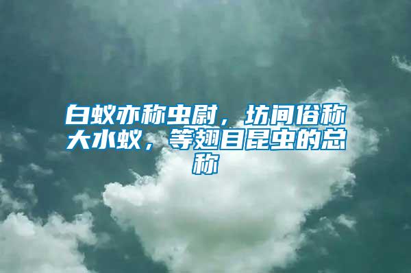白蟻亦稱蟲尉，坊間俗稱大水蟻，等翅目昆蟲的總稱