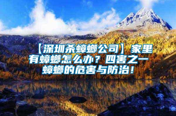 【深圳殺蟑螂公司】家里有蟑螂怎么辦？四害之一蟑螂的危害與防治！