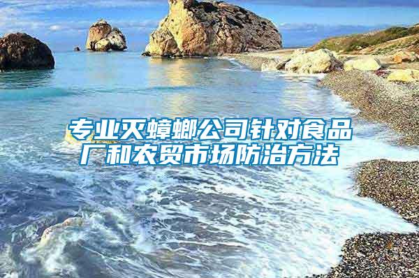 專業滅蟑螂公司針對食品廠和農貿市場防治方法