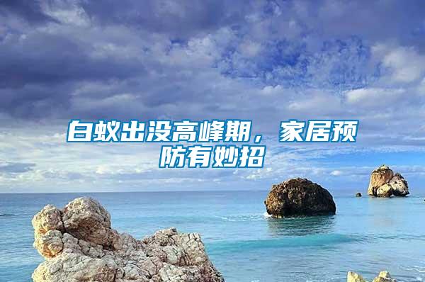 白蟻出沒高峰期，家居預防有妙招