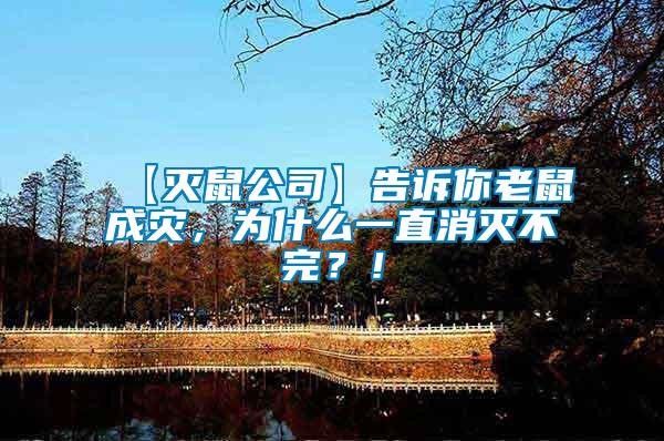 【滅鼠公司】告訴你老鼠成災，為什么一直消滅不完？！