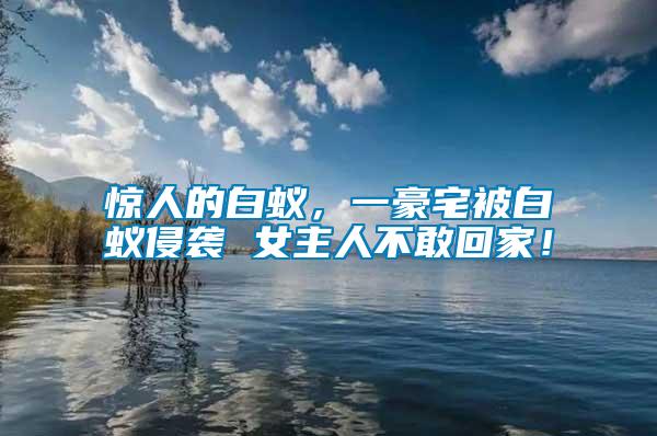 驚人的白蟻，一豪宅被白蟻侵襲 女主人不敢回家！