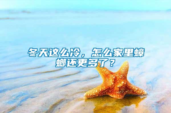 冬天這么冷，怎么家里蟑螂還更多了？