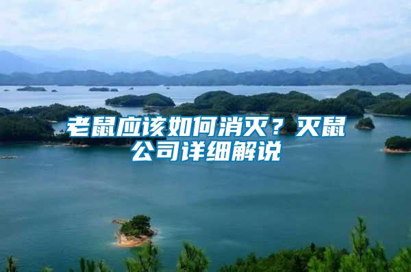 老鼠應該如何消滅？滅鼠公司詳細解說