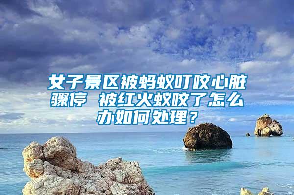 女子景區被螞蟻叮咬心臟驟停 被紅火蟻咬了怎么辦如何處理？