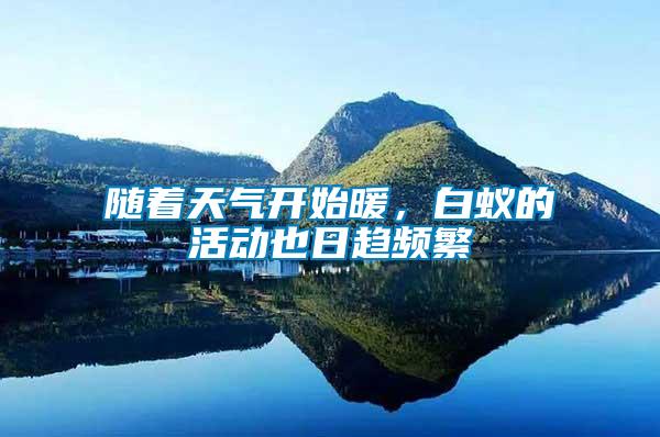 隨著天氣開始暖，白蟻的活動也日趨頻繁