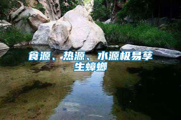 食源、熱源、水源極易孳生蟑螂