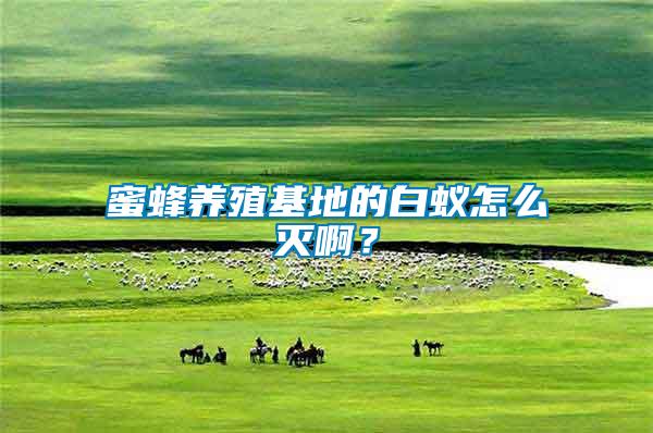 蜜蜂養(yǎng)殖基地的白蟻怎么滅啊?