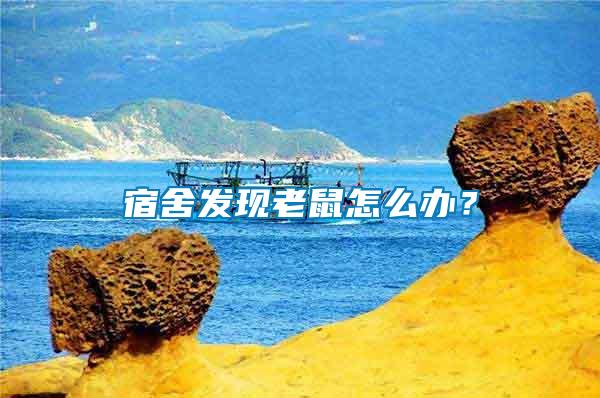宿舍發(fā)現(xiàn)老鼠怎么辦？