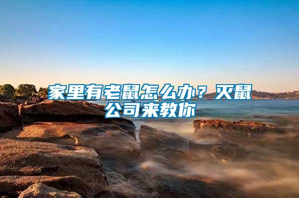 家里有老鼠怎么辦？滅鼠公司來教你