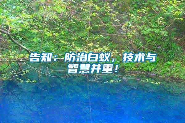 告知：防治白蟻，技術與智慧并重！