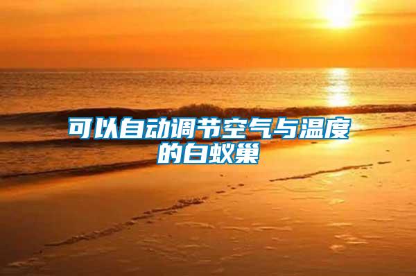 可以自動調節空氣與溫度的白蟻巢