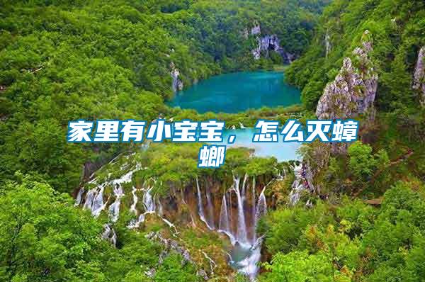 家里有小寶寶，怎么滅蟑螂