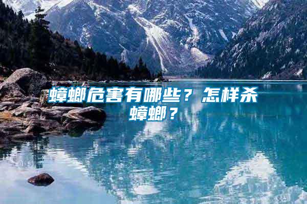 蟑螂危害有哪些？怎樣殺蟑螂？