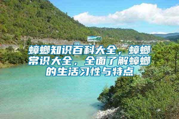 蟑螂知識百科大全，蟑螂常識大全，全面了解蟑螂的生活習性與特點