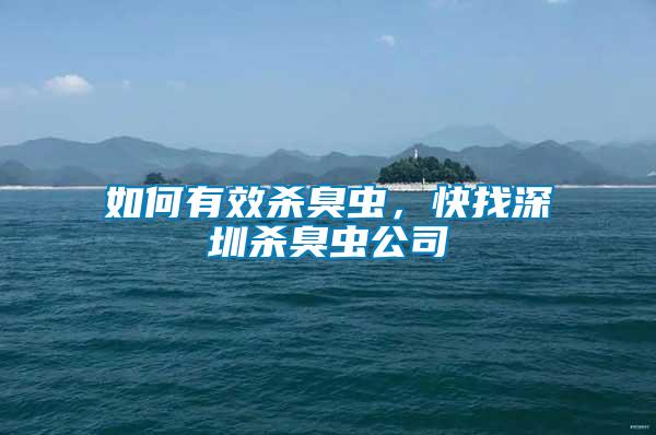 如何有效殺臭蟲，快找深圳殺臭蟲公司