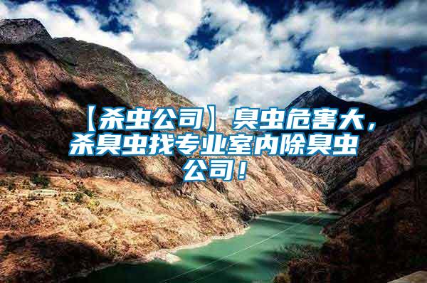 【殺蟲公司】臭蟲危害大，殺臭蟲找專業室內除臭蟲公司！