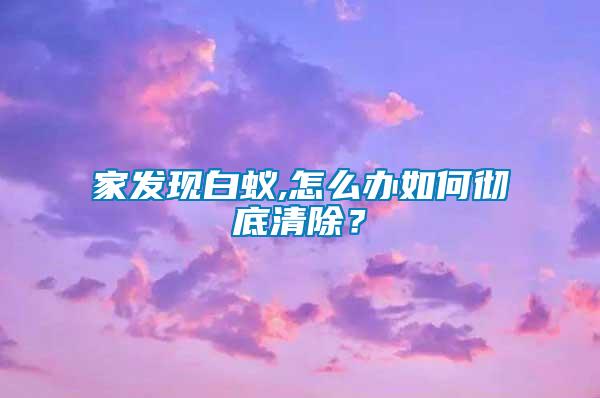 家發(fā)現(xiàn)白蟻,怎么辦如何徹底清除？