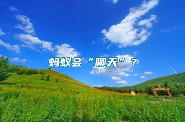 螞蟻會“聊天”？