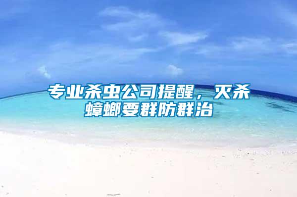 專業(yè)殺蟲公司提醒，滅殺蟑螂要群防群治