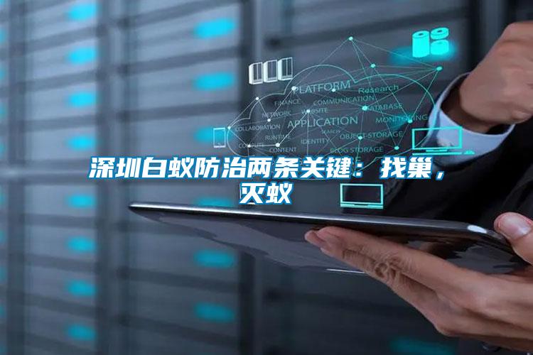深圳白蟻防治兩條關鍵：找巢，滅蟻
