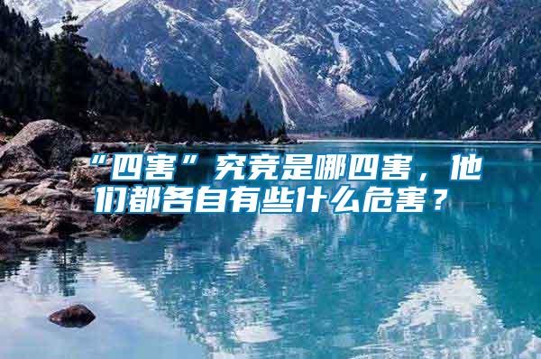 “四害”究競(jìng)是哪四害，他們都各自有些什么危害？