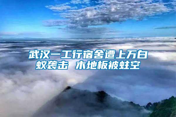 武漢一工行宿舍遭上萬(wàn)白蟻襲擊 木地板被蛀空