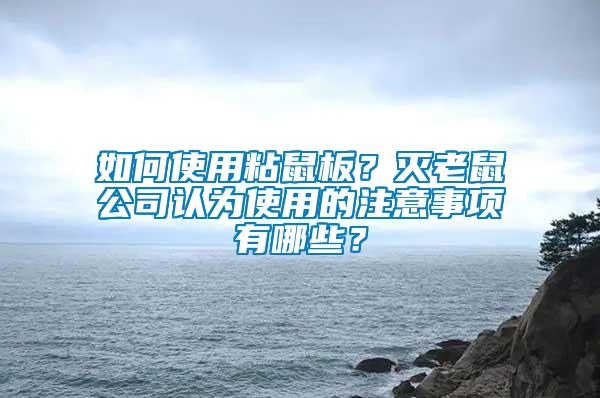 如何使用粘鼠板？滅老鼠公司認為使用的注意事項有哪些？