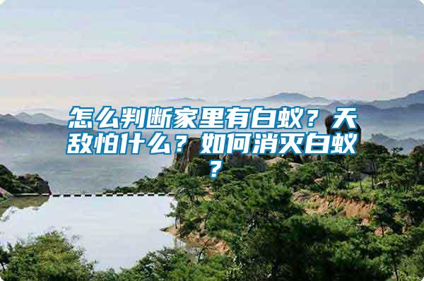 怎么判斷家里有白蟻？天敵怕什么？如何消滅白蟻？