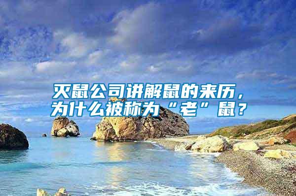 滅鼠公司講解鼠的來歷，為什么被稱為“老”鼠？