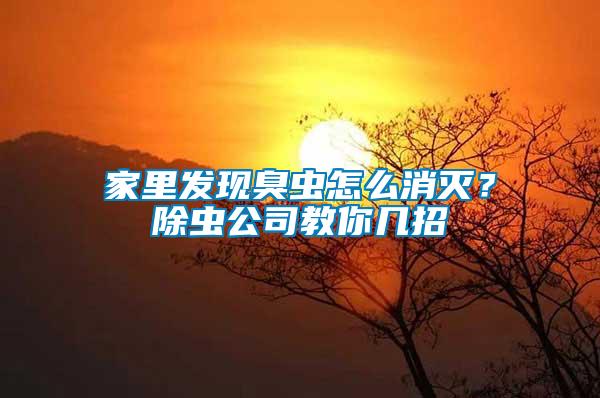 家里發現臭蟲怎么消滅？除蟲公司教你幾招