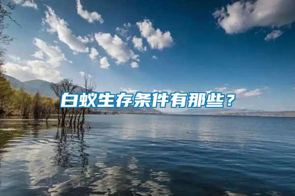 白蟻生存條件有那些？