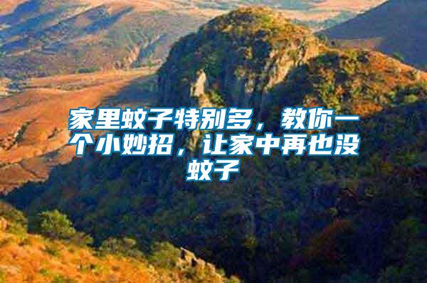 家里蚊子特別多，教你一個(gè)小妙招，讓家中再也沒蚊子