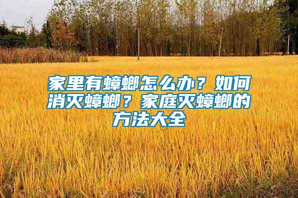 家里有蟑螂怎么辦？如何消滅蟑螂？家庭滅蟑螂的方法大全