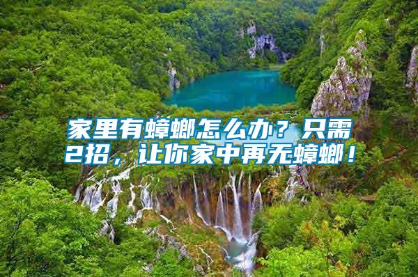 家里有蟑螂怎么辦？只需2招，讓你家中再無蟑螂！
