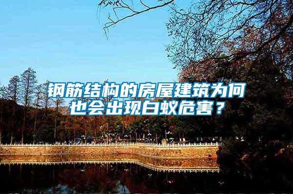鋼筋結構的房屋建筑為何也會出現白蟻危害？