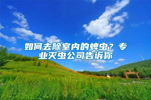 如何去除室內的蜱蟲？專業滅蟲公司告訴你