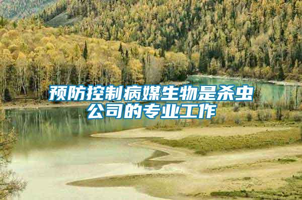 預防控制病媒生物是殺蟲公司的專業工作