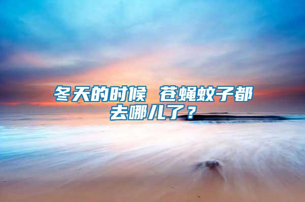 冬天的時候 蒼蠅蚊子都去哪兒了？