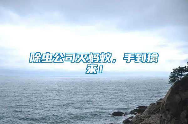 除蟲公司滅螞蟻，手到擒來！