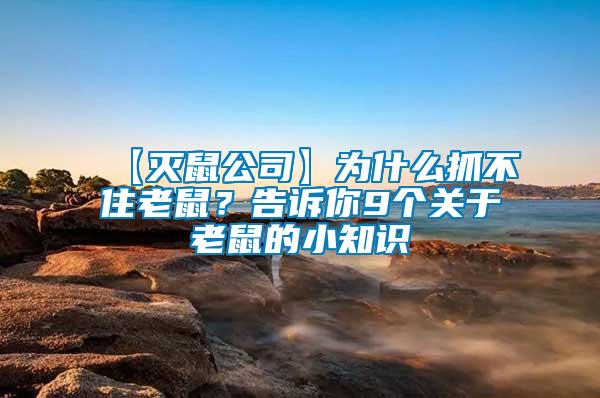 【滅鼠公司】為什么抓不住老鼠？告訴你9個關于老鼠的小知識