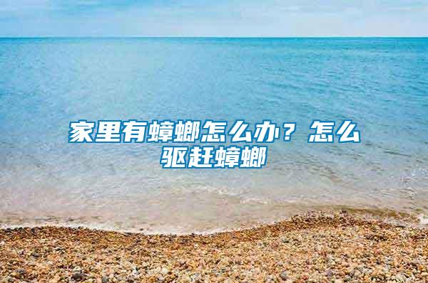 家里有蟑螂怎么辦？怎么驅趕蟑螂