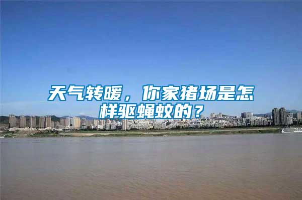 天氣轉暖，你家豬場是怎樣驅蠅蚊的？
