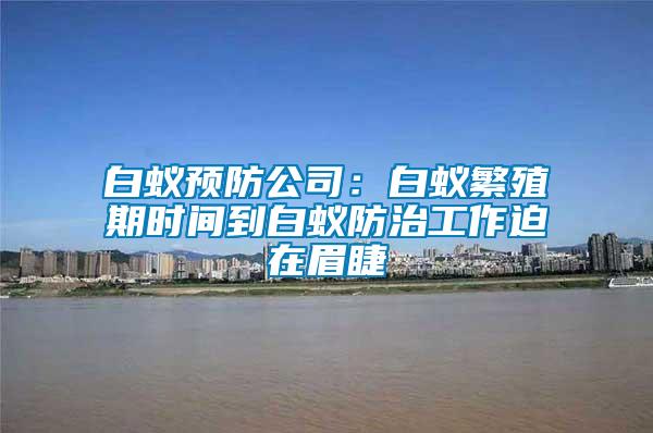 白蟻預(yù)防公司:白蟻繁殖期時(shí)間到白蟻防治工作迫在眉睫
