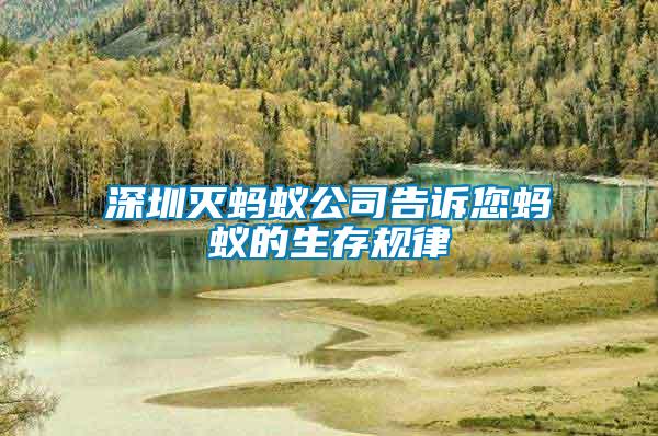 深圳滅螞蟻公司告訴您螞蟻的生存規律