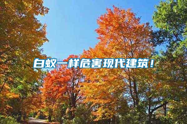 白蟻一樣危害現代建筑！
