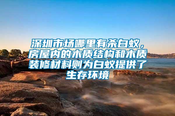 深圳市場哪里有殺白蟻，房屋內的木質結構和木質裝修材料則為白蟻提供了生存環境