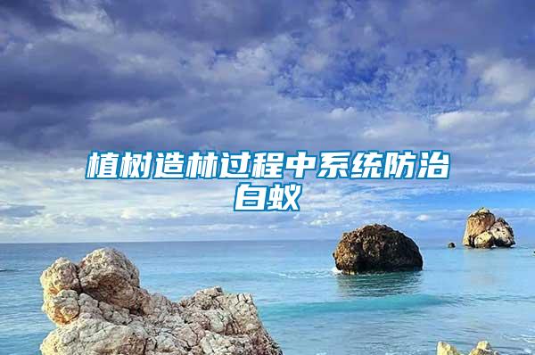植樹造林過程中系統防治白蟻