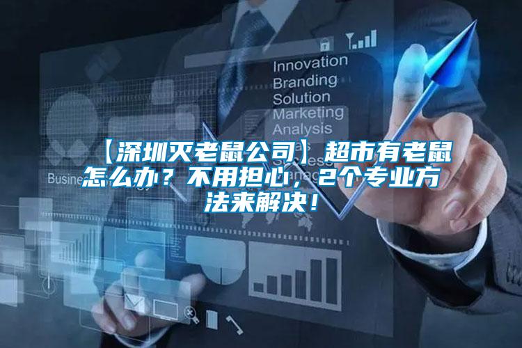 【深圳滅老鼠公司】超市有老鼠怎么辦？不用擔心，2個專業方法來解決！