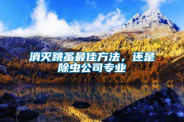 消滅跳蚤最佳方法，還是除蟲(chóng)公司專業(yè)